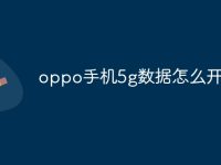 oppo手機5g數(shù)據(jù)怎么開-路由網(wǎng)