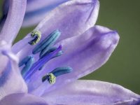 微單相機(jī)配置怎么選-路由網(wǎng)