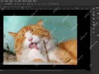 PS怎么清除剪貼板？Photoshop刪除剪貼板記錄的技巧-路由網(wǎng)