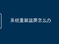 系統(tǒng)重裝藍屏怎么辦-路由網
