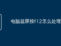 電腦藍(lán)屏按f12怎么處理-路由網(wǎng)