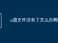 u盤文件沒有了怎么辦啊-路由網(wǎng)