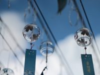 獨(dú)顯的筆記本有哪些-路由網(wǎng)