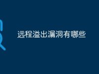 遠(yuǎn)程溢出漏洞有哪些-路由網(wǎng)