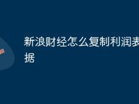 新浪財(cái)經(jīng)怎么復(fù)制利潤(rùn)表數(shù)據(jù)-路由網(wǎng)