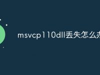 msvcp110dll丟失怎么辦-路由網(wǎng)