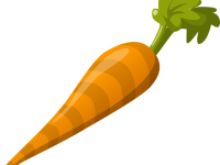 車蘿卜倒閉了還能用嗎-路由網(wǎng)