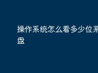 操作系統(tǒng)怎么看多少位系統(tǒng)u盤-路由網(wǎng)