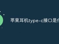蘋果耳機(jī)type-c接口是什么-路由網(wǎng)