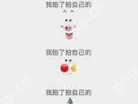 微信拍一拍有哪些小動物圖標(biāo)-路由網(wǎng)