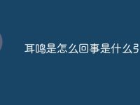 耳鳴是怎么回事是什么引起的-路由網(wǎng)
