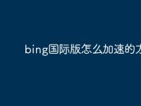 bing國際版怎么加速的方法-路由網(wǎng)