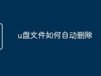 u盤(pán)文件如何自動(dòng)刪除-路由網(wǎng)