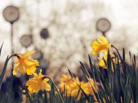 百度的熱點(diǎn)怎么不見了-路由網(wǎng)