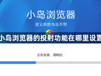 小島瀏覽器的投射功能在哪里設(shè)置-路由網(wǎng)