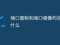 端口復(fù)制和端口鏡像的區(qū)別是什么-路由網(wǎng)