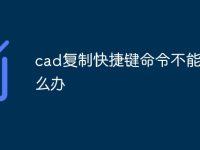 cad復制快捷鍵命令不能用怎么辦-路由網(wǎng)