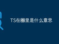 TS在圈里是什么意思-路由網(wǎng)