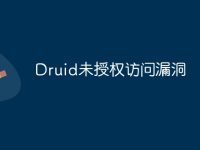 Druid未授權訪問漏洞-路由網(wǎng)
