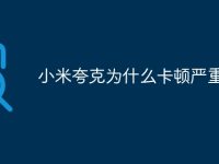 小米夸克為什么卡頓嚴(yán)重-路由網(wǎng)